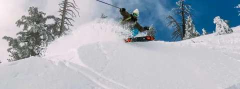 ski